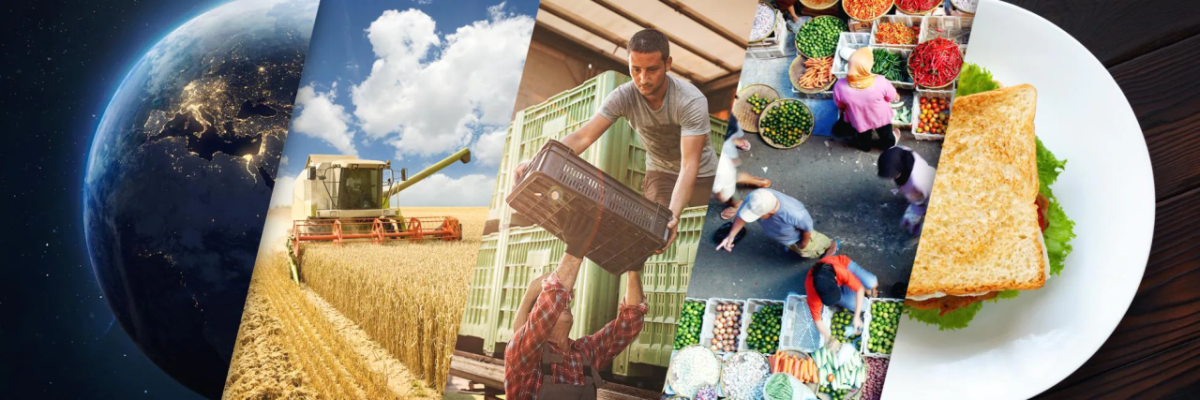 5 Images - Earth, wheat farming vehicle, farmers with shipping crates, a market, a sandwich on a plate