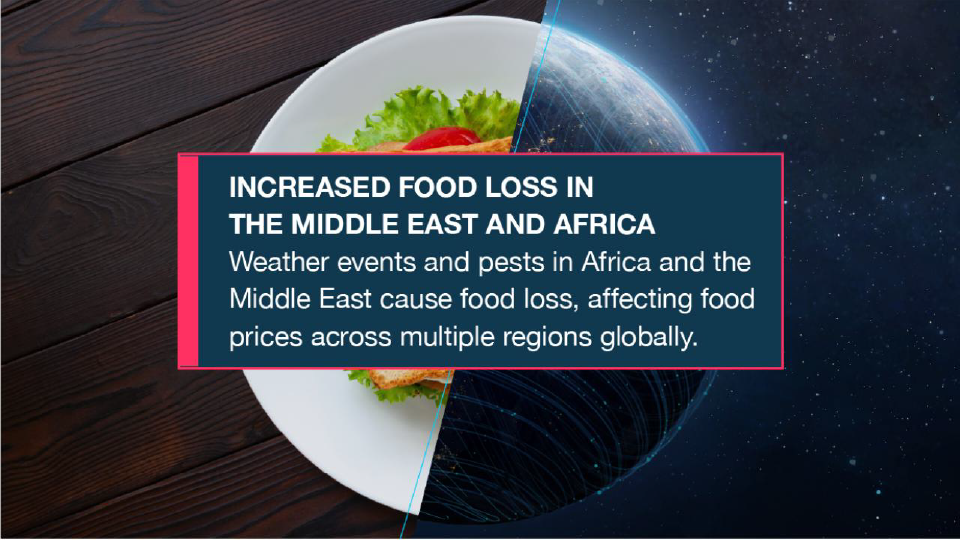 INCREASED FOOD LOSS IN THE MIDDLE EAST AND AFRICA Weather events and pests in Africa and the Middle East cause food loss, affecting food prices across multiple regions globally..