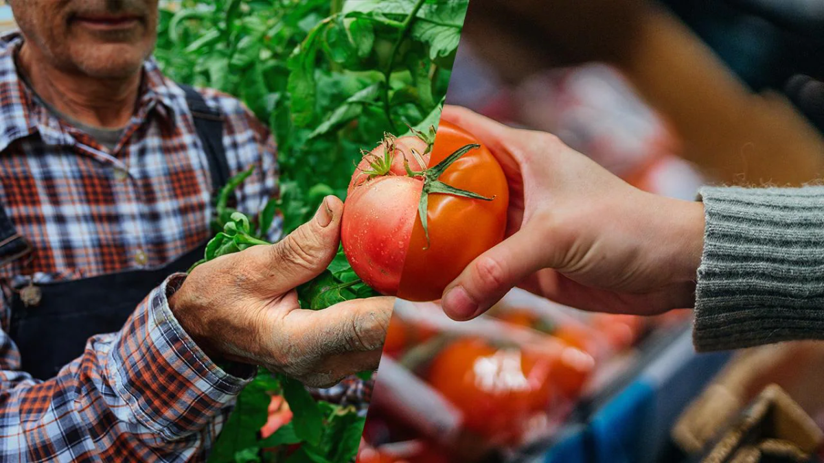 one person handing another a tomato