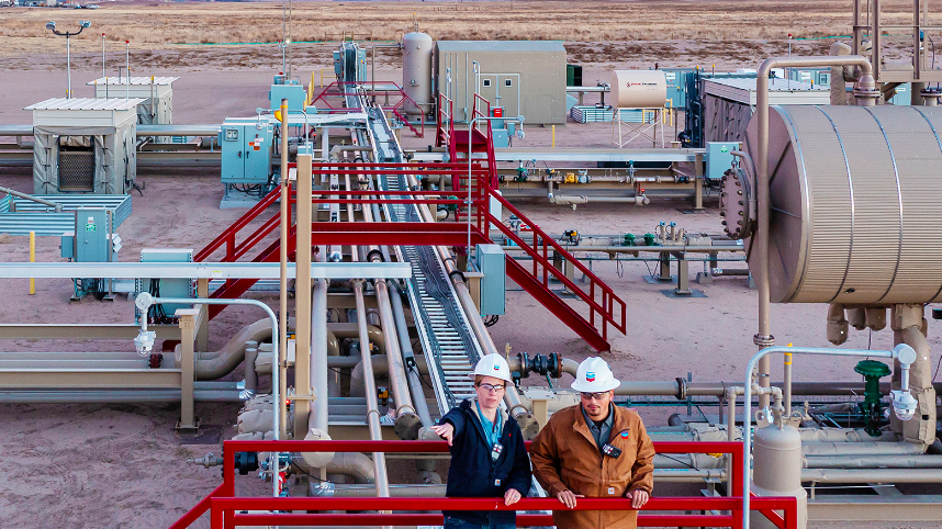 Chevron plant with two people in foreground