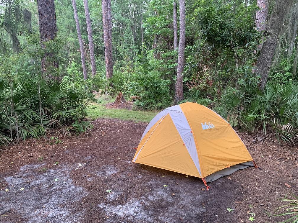tent pitched in swamp