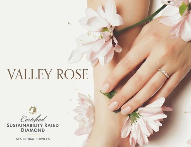 Valley Rose marketing poster