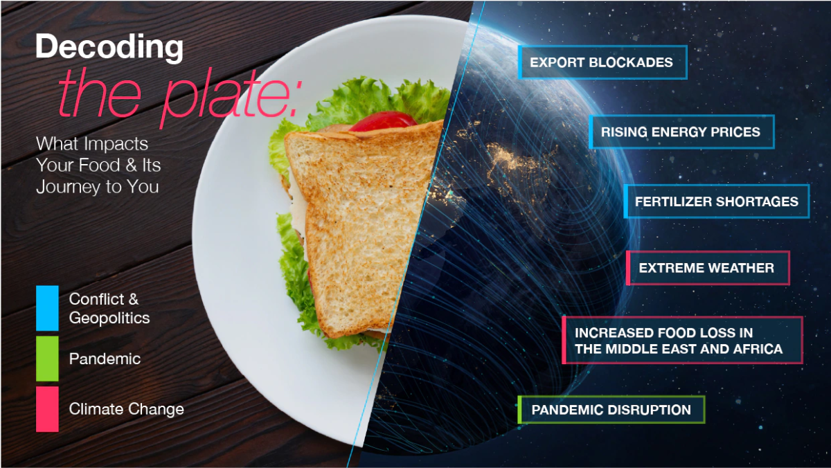 Image of half plate with sandwich and half illustration of earth. Reads: Decoding the Plate, what impacts your food and its journey to you