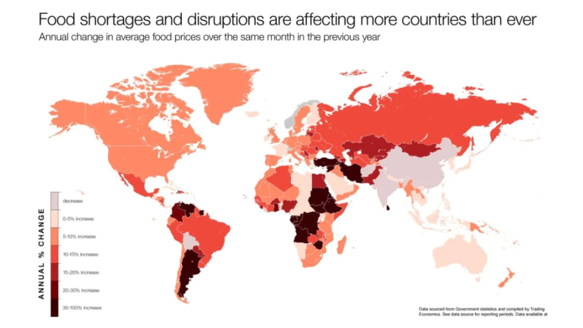 World Map titled "Food shortages and disruptions are affecting more countries than ever, annual change in average food prices over the same month in the previous year"