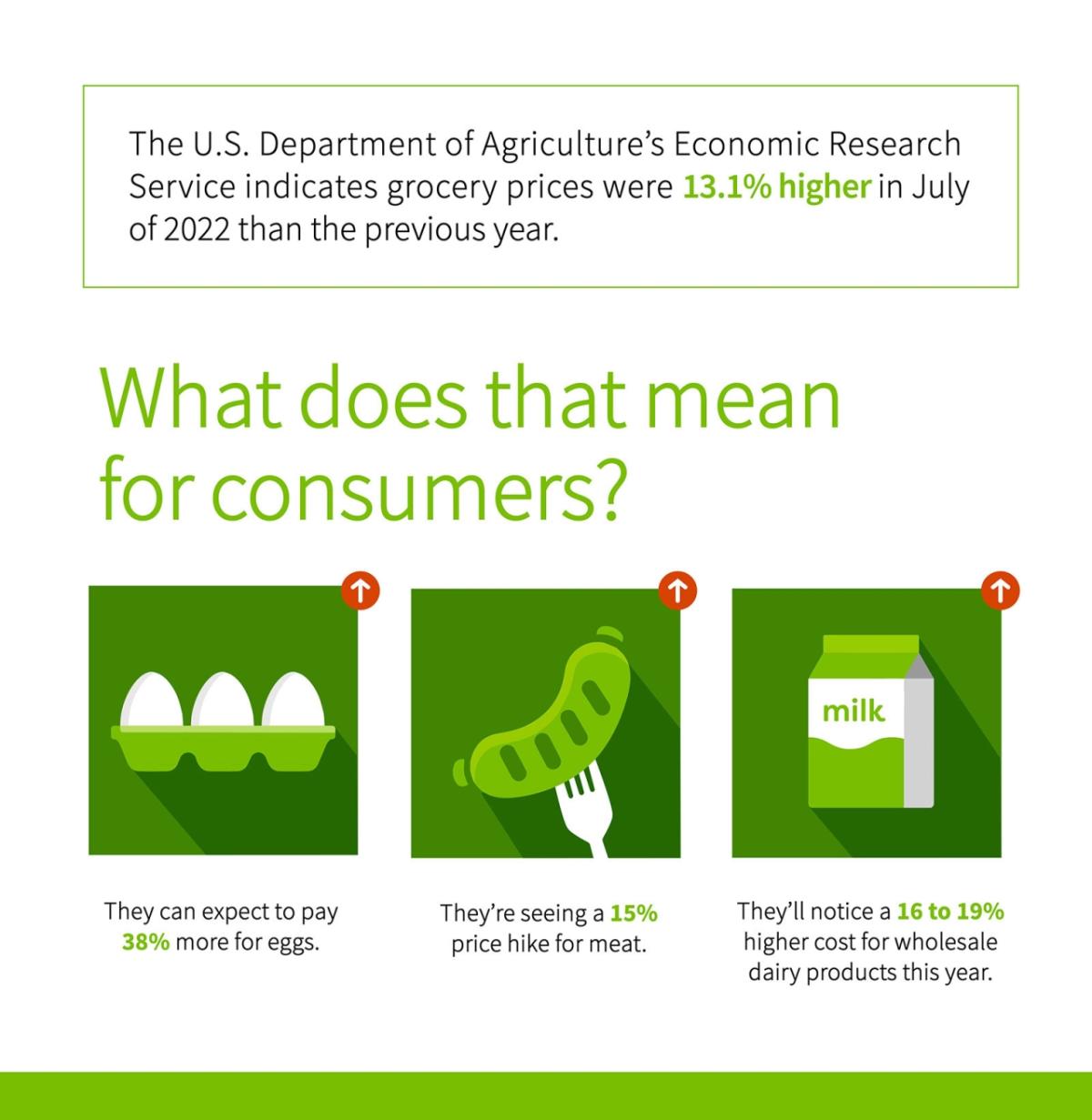 USDA economic research info graphic. Grocery prices were 13.2% higher in July 2022 than the previous year. Pictures of eggs, sausage, milk and their individual price increases.